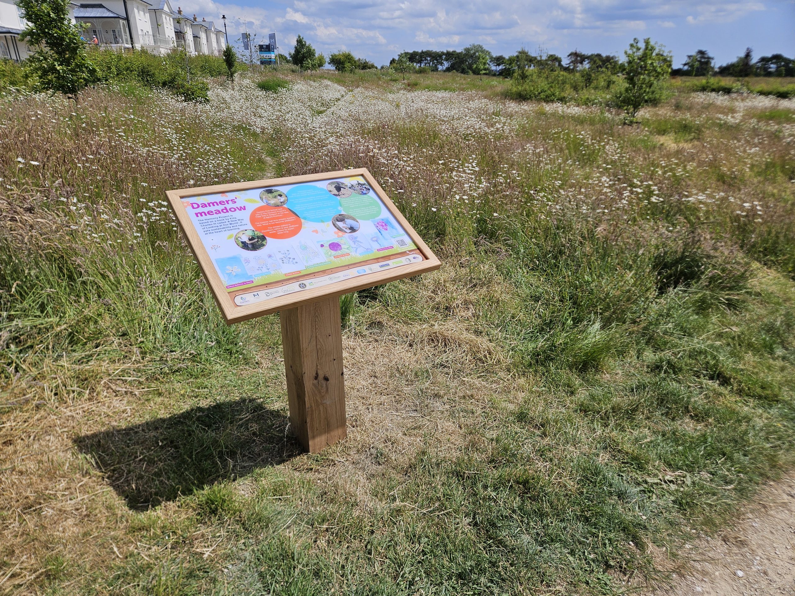 The Meadow Board in-situ with the meadow flowering beautifully in the background.