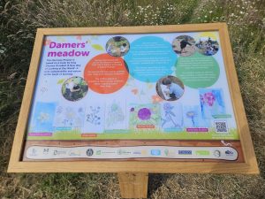 Damers Meadow Nature Information Board unveiled to help inform and educate.